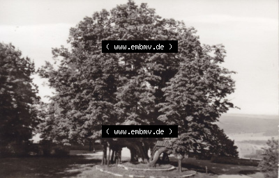 Stadt Augustusburg, VEB, DDR-Zeiten Bezirk Karl-Marx-Stadt Sammlung