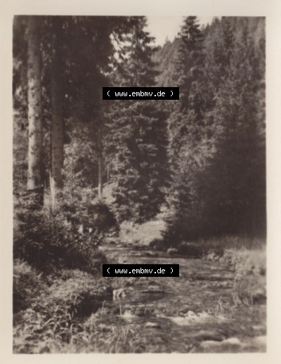 Wald - Göritzgrund, DDR-Zeiten Bezirk Suhl Sammlung