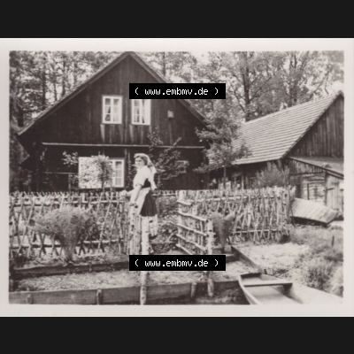 Fotos DDR Bezirk Cottbus, Kreis Lübben, Spreewald 1959, Foto-Mappe mit 10 Echte Fotos vom Spreewald 1959 Frau im Spreewald im Gehege. Fotos DDR Bezirk Cottbus, Kreis... Sammlung