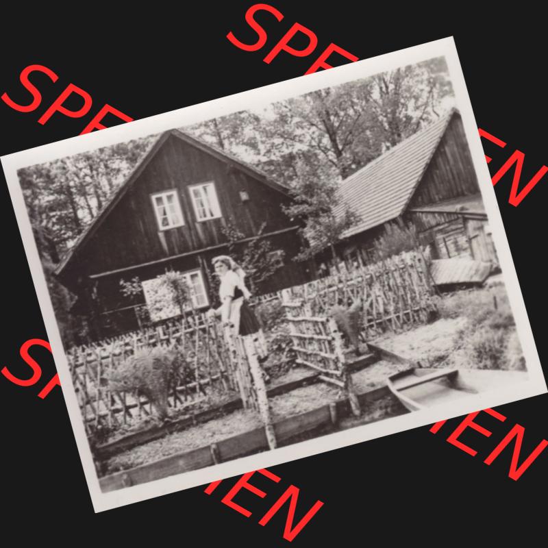Fotos DDR Bezirk Cottbus, Kreis Lübben, Spreewald 1959, Foto-Mappe mit 10 Echte Fotos vom Spreewald 1959 Frau im Spreewald im Gehege. Fotos DDR Bezirk Cottbus, Kreis... Sammlung