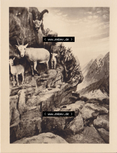 Im Hochgebirge, Fotos aus DDR-Zeiten, Bezirk Erfurt der DDR Sammlung