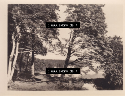 10 Echte Fotos, Blick zur Steilküste, Fotos, online Katalog für Ansichtskarten und Fotos aus DDR-Zeiten Sammlung