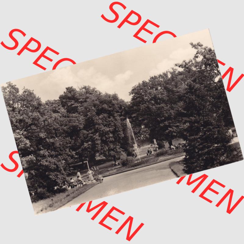 Ansichtskarte DDR, Bezirk Frankfurt (Oder), Kreis Fürstenwalde, Freiberg (Sa.), Springbrunnen im Scheringerpark. Ansichtskarte bzw.... Sammlung