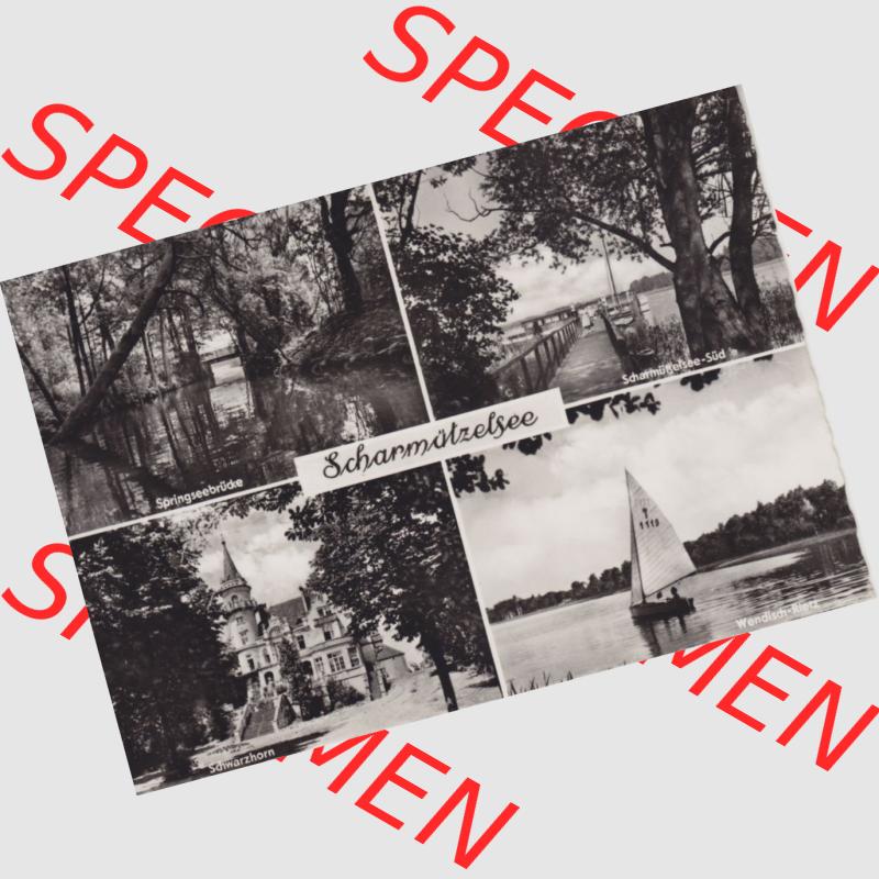 Ansichtskarte DDR, Bezirk Frankfurt (Oder), Kreis Fürstenwalde, Bad Saarow, Scharmützelsee, Springseebrücke, Schwarzhorn, Wendisch-Rietz.... Sammlung