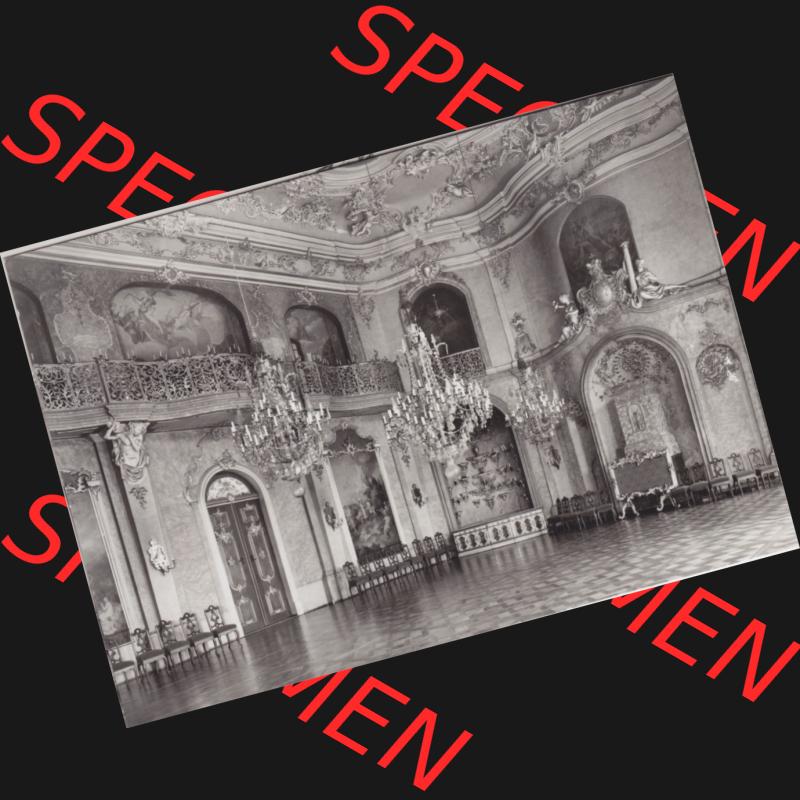 Alte s/w Ansichtskarte Echt Foto DDR Bezirk Gera, Kreis Rudolstadt, Museen Schloss Heidecksburg (Thüringen) 1983, Großer Festsaal. Echt Foto Ansichtskarte... Sammlung