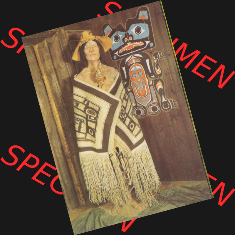 Ansichtskarte DDR Bezirk Dresden, Kreis Dresden, Radebeul Karl-May-Museum 1987, Tlingit-Häuptling. Alte Ansichtskarte der DDR Bezirk Dresden, Kreis Dresden, Radebeul... Sammlung