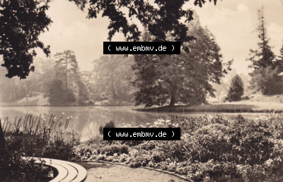 Altes Foto Wörlitz DDR Bezirk Halle, 1961, 8. Blick von der Roseninsel auf den See Sammlung