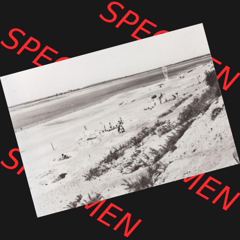 Foto DDR Bezirk Cottbus, Kreis Niederlausitz, Senftenberger See 1982, Erholungsgebiet Senftenberger See. Alte Fotos DDR Bezirk Cottbus, Kreis Niederlausitz, Fotos vom... Sammlung