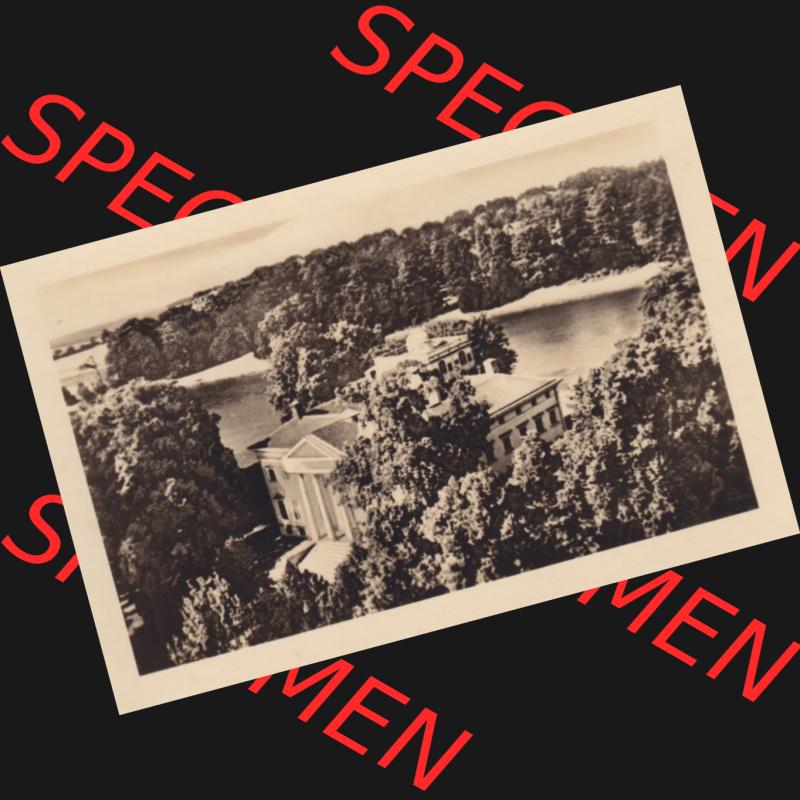 Altes Foto Wörlitz DDR Bezirk Halle, Kreis Wittenberg, Wörlitzer Park 1950-er Jahre in s/w, 1959, 9. Blick auf das Schloss-Museum und See. Serie von... Sammlung