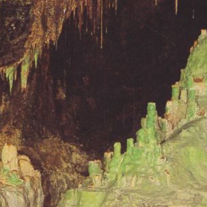 Ausschnitt zur Qualitätsprüfung vom Digitalen Bild Qualität