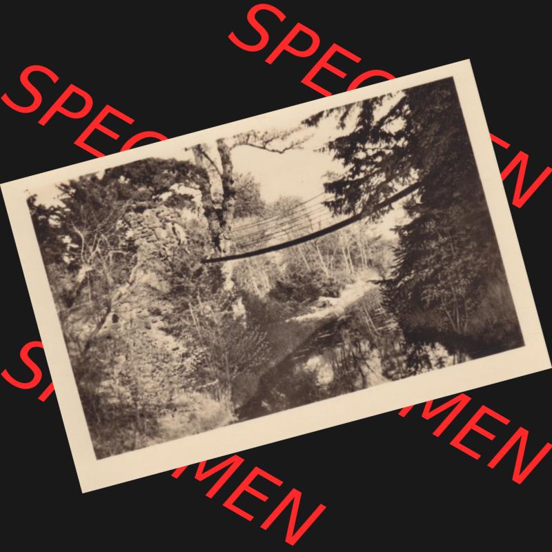 Altes Foto Wörlitz DDR Bezirk Halle, Kreis Wittenberg, Wörlitzer Park 1950-er Jahre in s/w, 1959, 10. Die Kettenbrücke. Serie von 1959 vom Heldge-Verlag... Sammlung