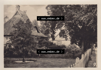 Foto DDR Bezirk Rostock, Kreis Ribnitz-Damgarten, Ostseebad Prerow Mappe in s/w 1975, 9. Waldstraße. Altes Foto aus Mappe mit... Sammlung