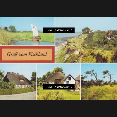Alte Ansichtskarte DDR Bezirk Rostock, Kreis Ribnitz-Damgarten, Ostseebad Ahrenshoop 1986, Gruß vom Fischland, Ahrenshoop, Wustrow, Althagen, Windflüchter.... Sammlung