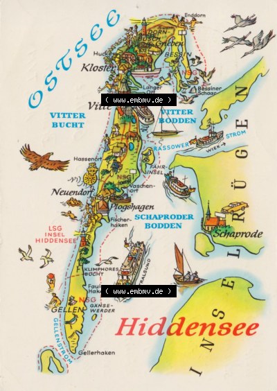 Ansichtskarte mit DDR Karten-Zeichnung 1983, Hiddensee - Landkarte gezeichnet -.-.- Sammlung
