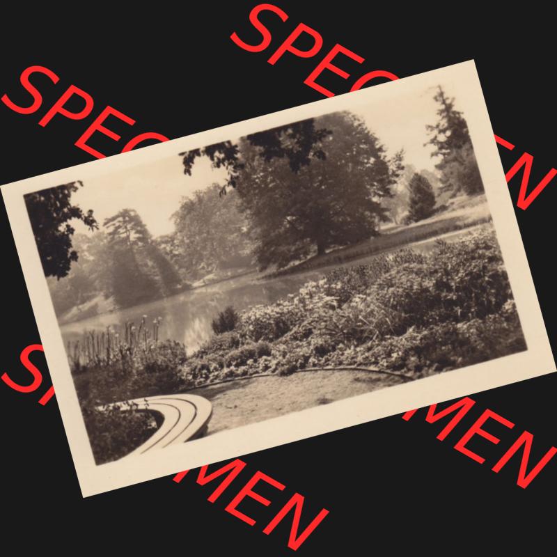 Altes Foto Wörlitz DDR Bezirk Halle, Kreis Wittenberg, Wörlitzer Park 1950-er Jahre in s/w, 1959, 8. Blick von der Roseninsel auf den See. Serie von... Sammlung