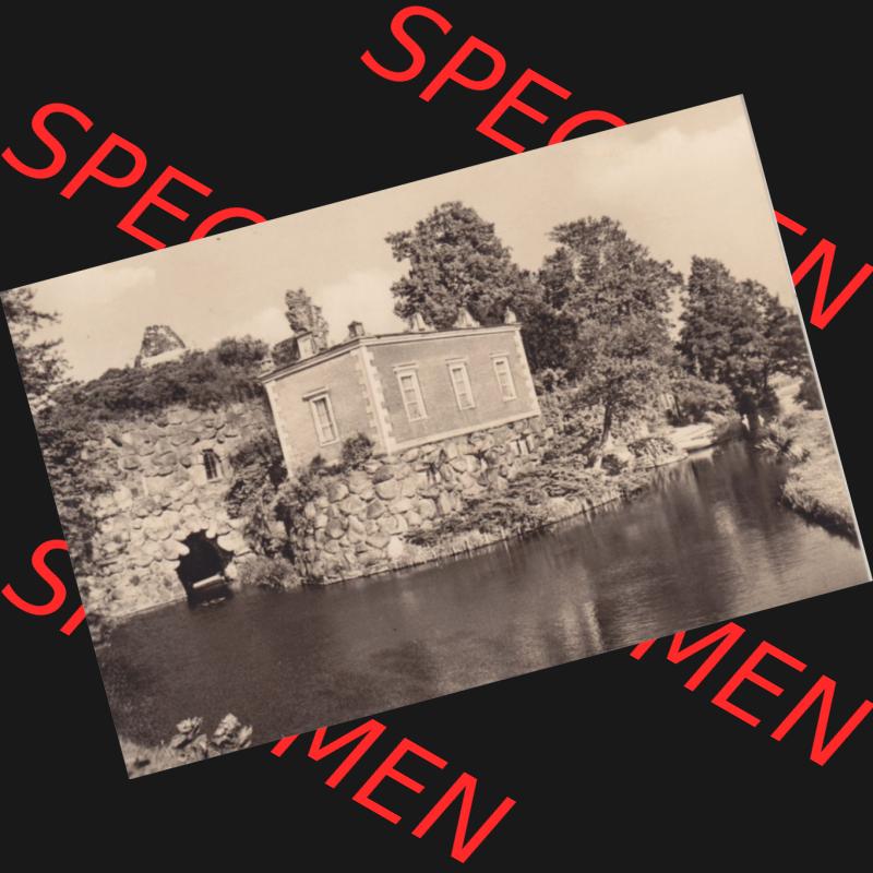 Altes Foto Wörlitz DDR Bezirk Halle, Kreis Wittenberg, Wörlitzer Park 1960-er Jahre in s/w, 1961, 2. Der Stein. Alte Ansichten-Foto aus Wörlitz,... Sammlung