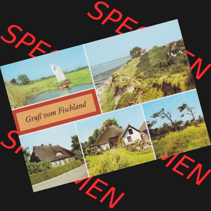 Alte Ansichtskarte DDR Bezirk Rostock, Kreis Ribnitz-Damgarten, Ostseebad Ahrenshoop 1986, Gruß vom Fischland, Ahrenshoop, Wustrow, Althagen, Windflüchter.... Sammlung