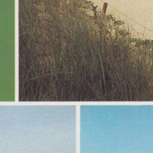 Ausschnitt zur Qualitätsprüfung vom Digitalen Bild Qualität