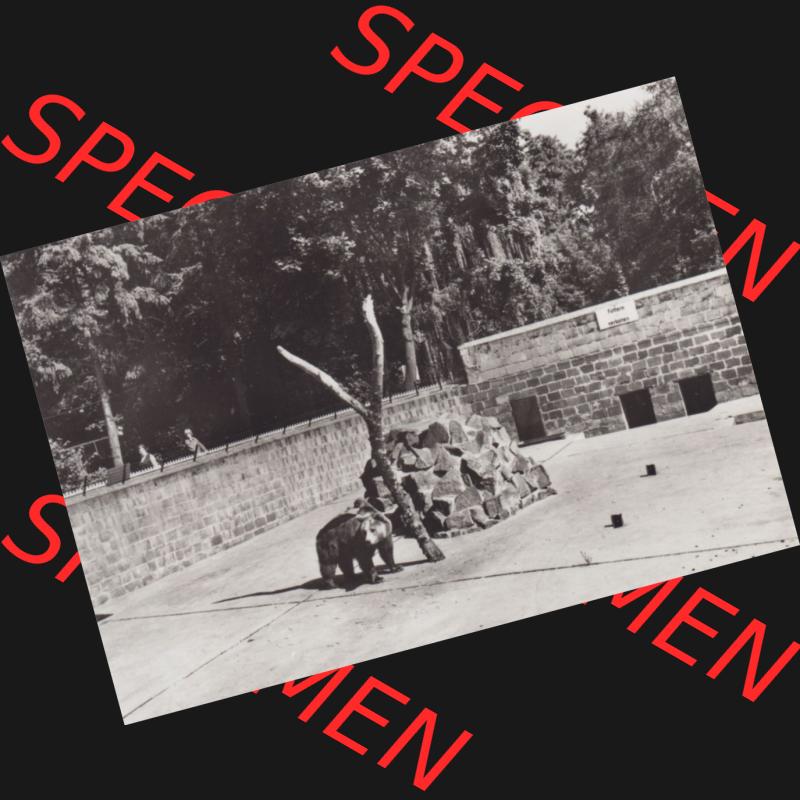 Foto DDR Bezirk Cottbus, Kreis Niederlausitz, Senftenberger See 1982, Im Tierpark. Alte Fotos DDR Bezirk Cottbus, Kreis Niederlausitz, Fotos vom Senftenberger See im... Sammlung