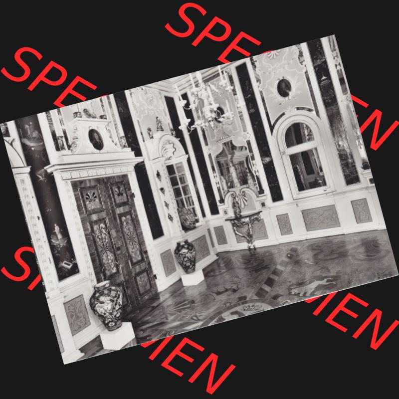 Alte s/w Ansichtskarte Echt Foto DDR Bezirk Gera, Kreis Rudolstadt, Museen Schloss Heidecksburg (Thüringen) 1983, Spiegelkabinet. Echt Foto Ansichtskarte aus... Sammlung