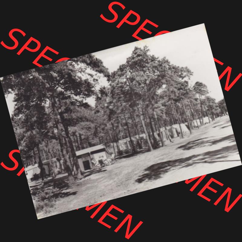 Foto DDR Bezirk Cottbus, Kreis Niederlausitz, Senftenberger See 1982, Umschlag Erholungsgebiet Senftenberger See. Alte Fotos DDR Bezirk Cottbus, Kreis Niederlausitz,... Sammlung