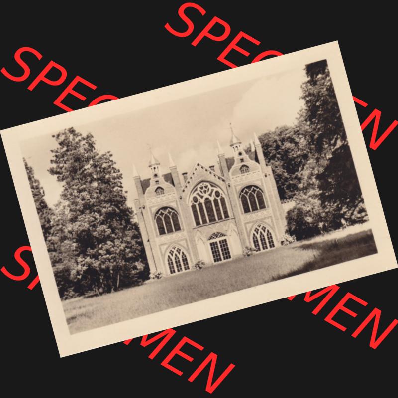 Altes Foto Wörlitz DDR Bezirk Halle, Kreis Wittenberg, Wörlitzer Park 1950-er Jahre in s/w, 1959, 3. Das Gotische Haus von der Seeseite g3esehen. Serie... Sammlung