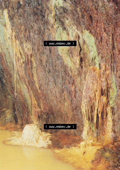 1985, Detail aus der rechten Quellgrotte Sammlung