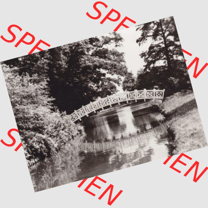 Altes Foto Wörlitz DDR Bezirk Halle, Kreis Wittenberg, Wörlitzer Park 1970-er Jahre in s/w, 1976, Weiße Brücke. Foto-Abzüge aus DDR-Zeiten Bezirk... Sammlung