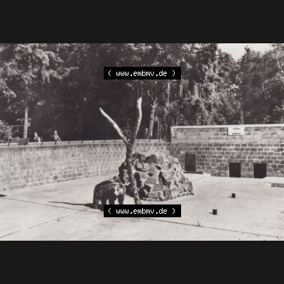 Foto DDR Bezirk Cottbus, Kreis Niederlausitz, Senftenberger See 1982, Im Tierpark. Alte Fotos DDR Bezirk Cottbus, Kreis Niederlausitz, Fotos vom Senftenberger See im... Sammlung