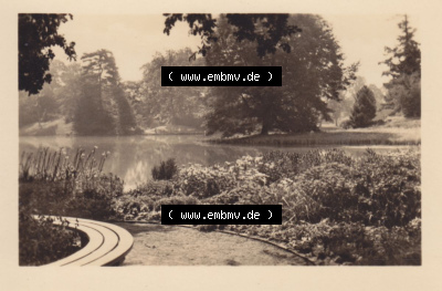 Wörlitzer Park 1950-er Jahre, 1959, 8. Blick von der Roseninsel auf den See Sammlung