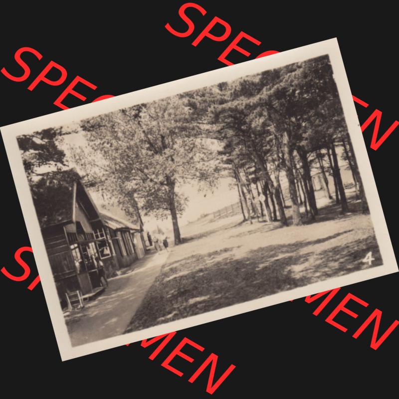 Sammlung