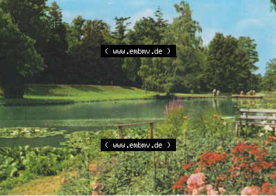 Wörlitzer Park Blick von der Roseninsel, DDR-Zeiten Bezirk Halle Sammlung