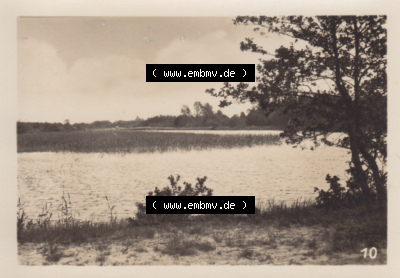 Foto DDR Bezirk Rostock, Kreis Ribnitz-Damgarten, Ostseebad Prerow Mappe in s/w 1975, 10. Blick zur Seemannskirche. Altes Foto... Sammlung