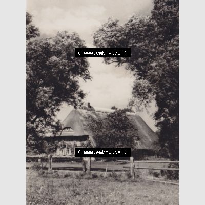 Altes Foto DDR Bezirk Rostock, Kreis Ribnitz-Damgarten, Ostseebad Dierhagen mit Ansicht 1959, Bauerngehöft. Altes Foto mit Ansicht der DDR Bezirk Rostock, Kreis Ribnitz-Damgarten,... Sammlung
