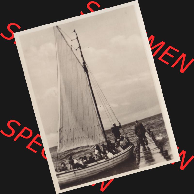 Alte Foto-Ansicht DDR Bezirk Rostock, Kreis Bad Doberan, Ostseebad Heiligendamm, (10 Echte Fotos), von ~1956, Segelpartie von Heiligendamm nach Kühlungsborn.... Sammlung