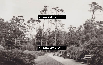 Ostseebad Graal-Müritz 1975, Im Rhododendronpark Sammlung
