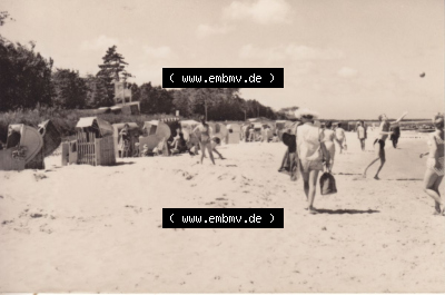Ostseebad Zingst Mappe in s/w vom Jahrgang 1963 B 8/63, Strand mit Strandkörben Zingst. Altes Foto mit Ansicht Sammlung