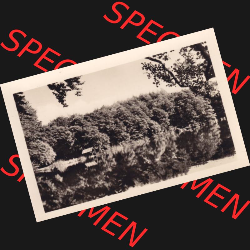 Altes Foto DDR Bezirk Rostock, Kreis Rügen, Insel Rügen Stubbenkammer 1957, 6. Stubbenkammer A 4290, E 1373. DDR Bezirk Rostock, Kreis Rügen,... Sammlung