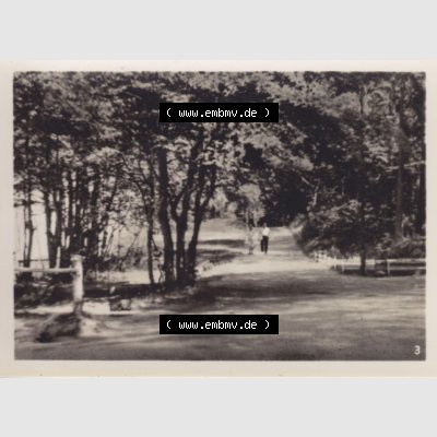 Alte Foto-Ansicht DDR Bezirk Rostock, Kreis Wolgast, Insel Usedom Ostseebad Koserow 1956, 3. Strandpromenade. Altes Foto der DDR Bezirk Rostock, Kreis Wolgast,... Sammlung