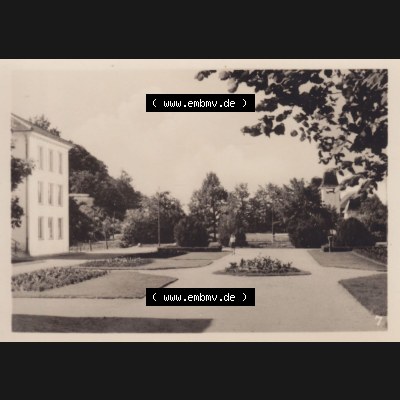 Alte Foto-Ansicht DDR Bezirk Rostock, Kreis Wolgast, Insel Usedom Seebad Heringsdorf 1955, 7. Teil des Kurparks. Altes Foto der DDR Bezirk Rostock, Kreis Wolgast,... Sammlung