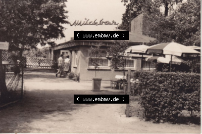 Ostseebad Zingst Mappe in s/w vom Jahrgang 1963 B 8/63, Milchbar. Altes Foto mit Ansicht Sammlung
