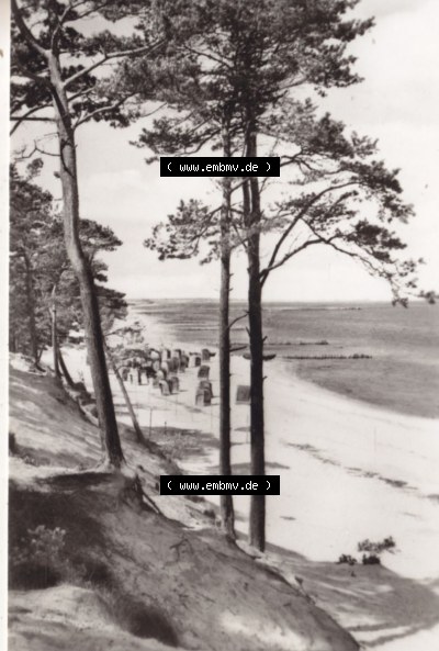 Ostseebad Lubmin in s/w 1966, 10. Ostseebad Lubmin - Blick zum Strand, P 1-66 IV-14-45 N 3472, Heldge-Verlag KG, Köthen/Anhalt Sammlung