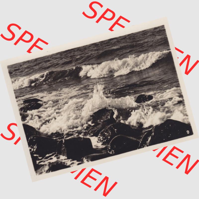 Altes Foto DDR Bezirk Rostock, Kreis Bad Doberan, Ostseebad Heiligendamm, 10 Aufnahmen für den Fotofreund 1953, 9. An der Küste. Alte Foto Ansichten der... Sammlung