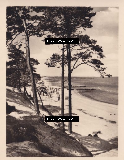 Ostseebad Lubmin 1961, 4. Blick zum Strand Sammlung