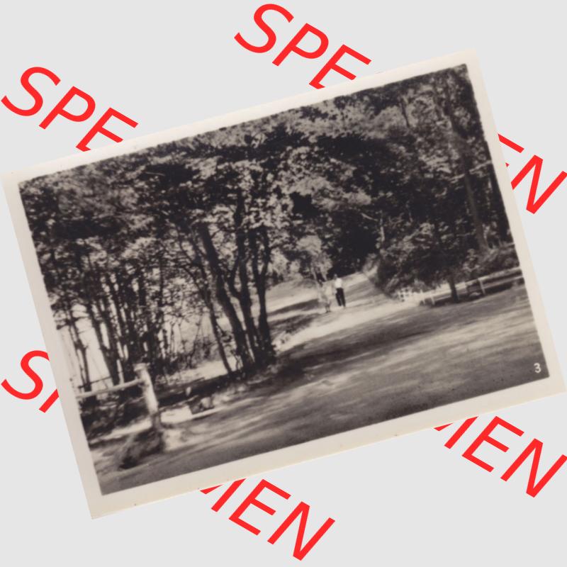 Alte Foto-Ansicht DDR Bezirk Rostock, Kreis Wolgast, Insel Usedom Ostseebad Koserow 1956, 3. Strandpromenade. Altes Foto der DDR Bezirk Rostock, Kreis Wolgast,... Sammlung