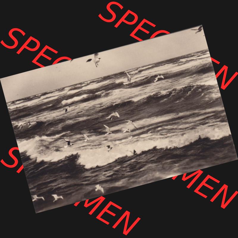 Foto-Ansicht DDR Bezirk Rostock, Kreis Rügen, Ostseebad Sellin 1963, 10. An der Ostsee in Ansichten K 579. Foto aus DDR-Zeiten der Deutschen Demokratischen Republik... Sammlung
