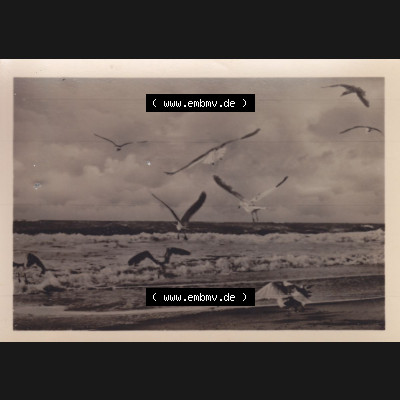 Alte Foto-Ansicht DDR Bezirk Rostock, Kreis Wismar, Gemeinde Insel Poel 1955 Gruß vom Ostseebad. Alte Fotos mit Ansichten der DDR Bezirk Rostock, Kreis Wismar der Insel Poel... Sammlung