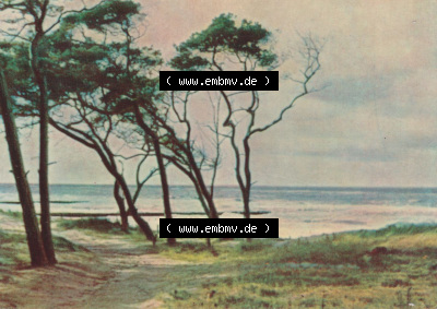 Ostseebad Ahrenshoop Lithografie von 1963, Kleine Farbserie 9. Vordarß Sammlung
