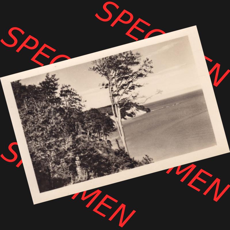 Altes Foto DDR Bezirk Rostock, Kreis Rügen, Insel Rügen Stubbenkammer 1957, 5. Stubbenkammer A 4289, E 1368. DDR Bezirk Rostock, Kreis Rügen,... Sammlung