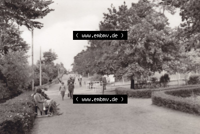 Ostseebad Lubmin in s/w 1966, 5. Ostseebad Lubmin Strandpromenade, P 1-66 IV-14-45 N 5289, Heldge-Verlag KG, Köthen/Anhalt Sammlung
